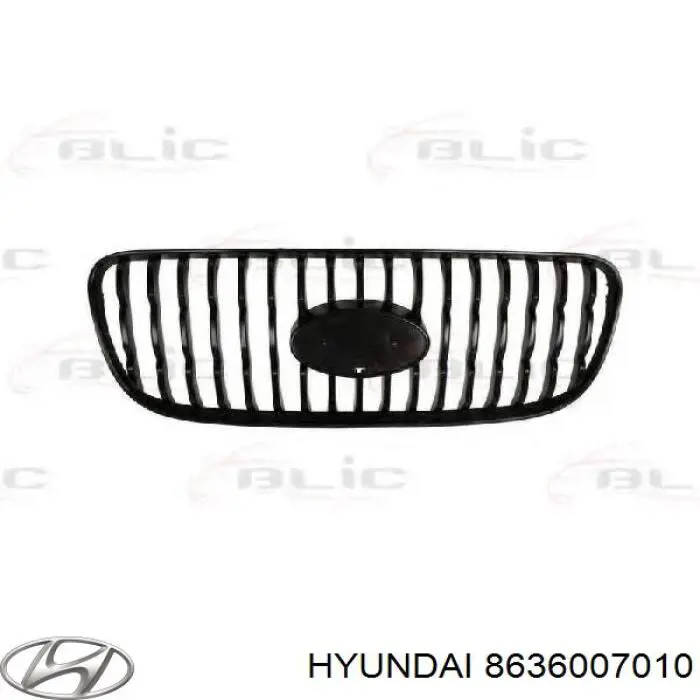 Купити 8636007010 Hyundai/Kia Захисна решітка радіатора