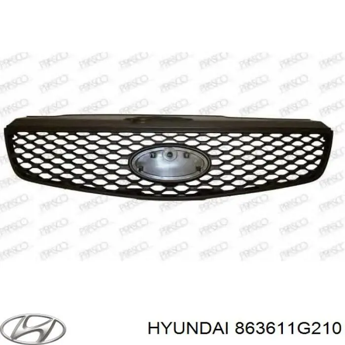 Купити 863601G210 Hyundai/Kia Захисна решітка радіатора