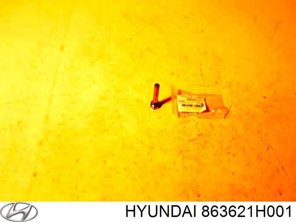 863621H001 Hyundai/Kia 