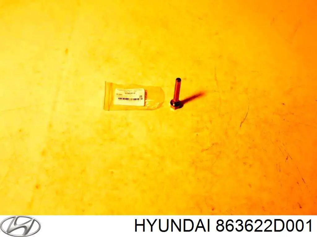 863622D001 Hyundai/Kia 