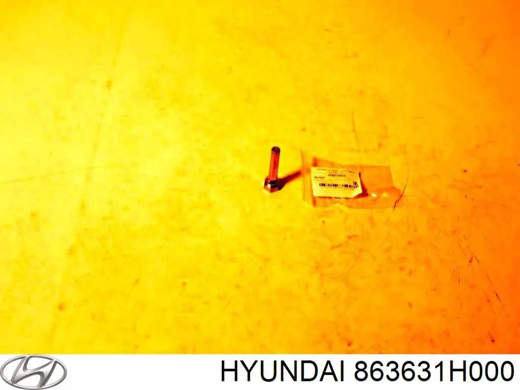  863631H000 Hyundai/Kia