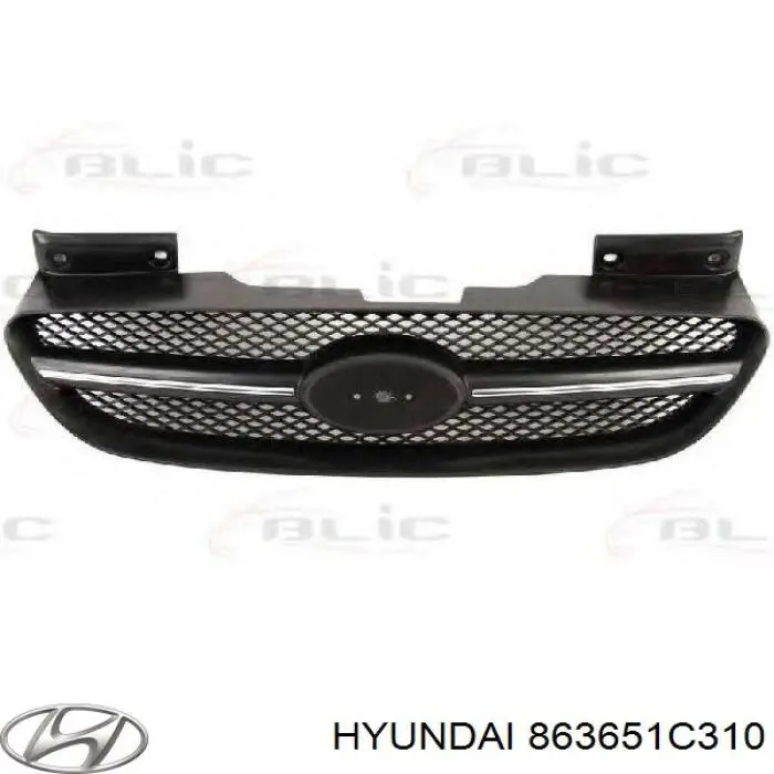 Купити 863651C310 Hyundai/Kia Захисна решітка радіатора