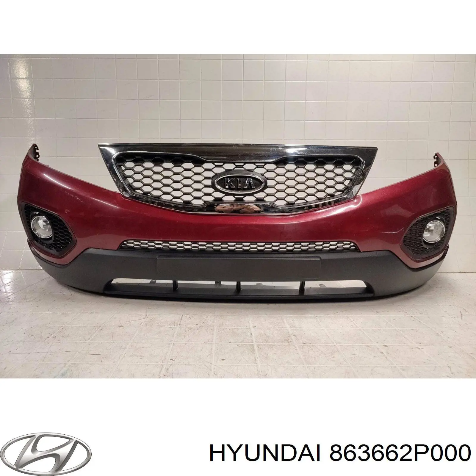 863662P000 Hyundai/Kia 
