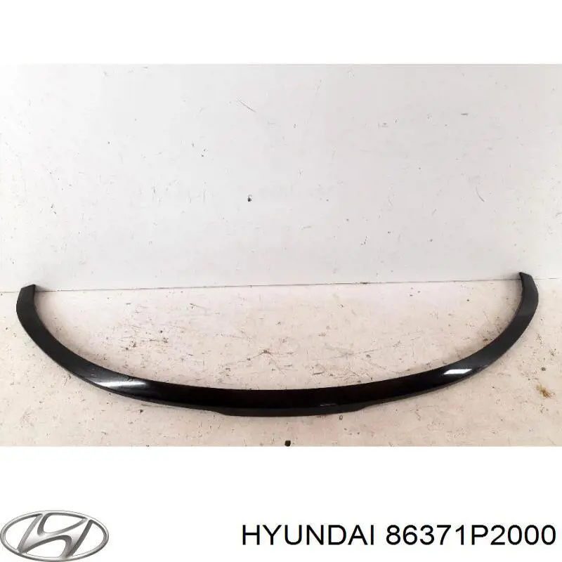 Облицювання радіатора Hyundai/Kia 86371P2000 ціна, від 114.71 USD
