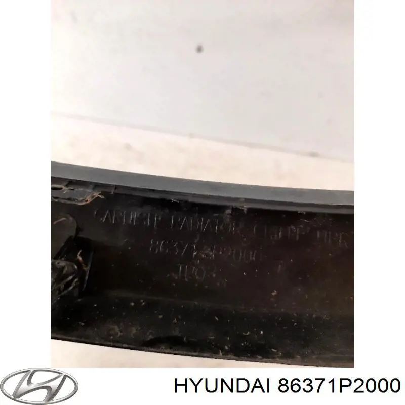 Купити 86371P2000 Hyundai/Kia Захисна решітка радіатора