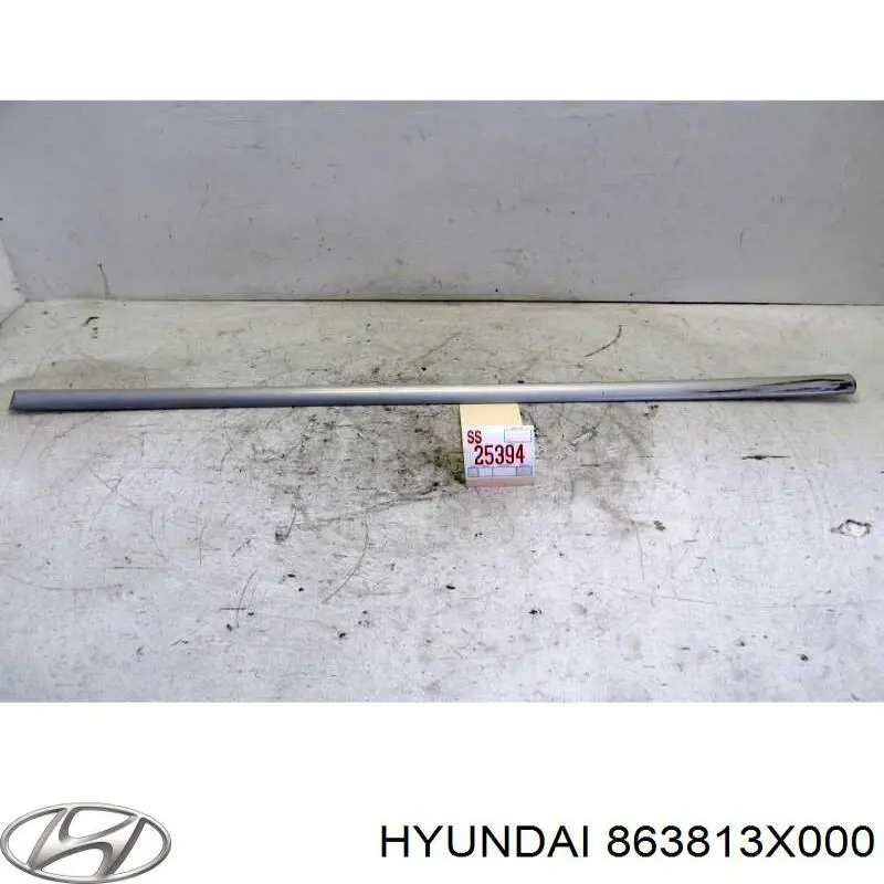 863813X000 Hyundai/Kia 