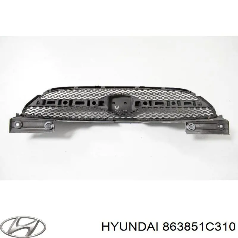863851C310 Hyundai/Kia 