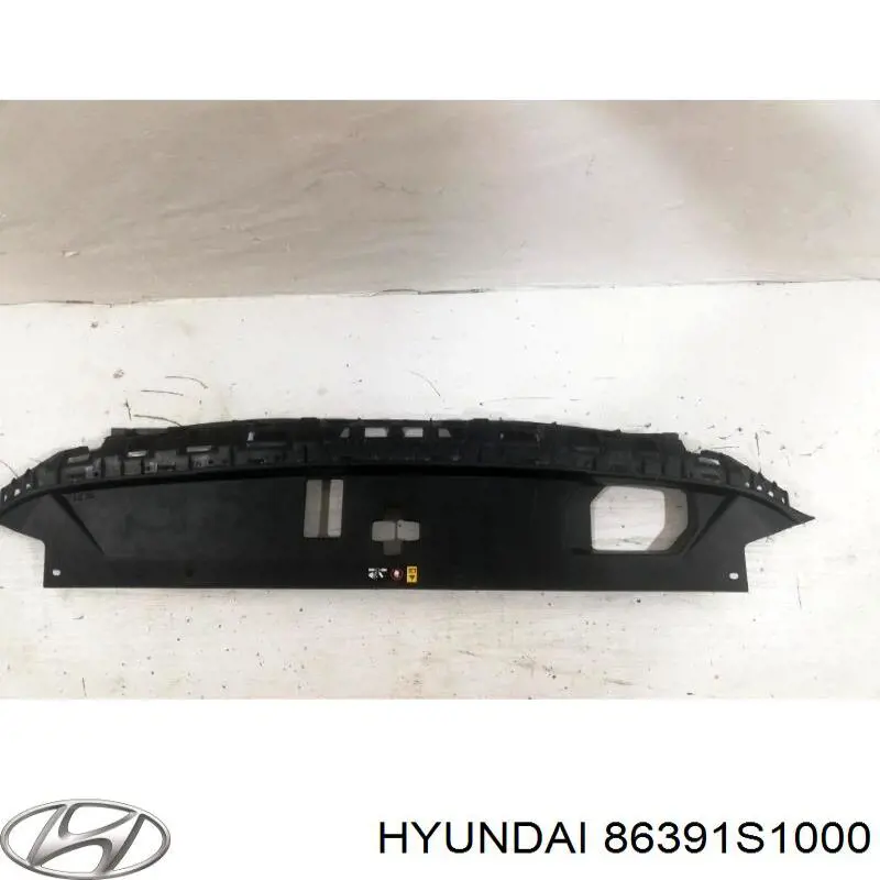 Купити 86391S1000 Hyundai/Kia 