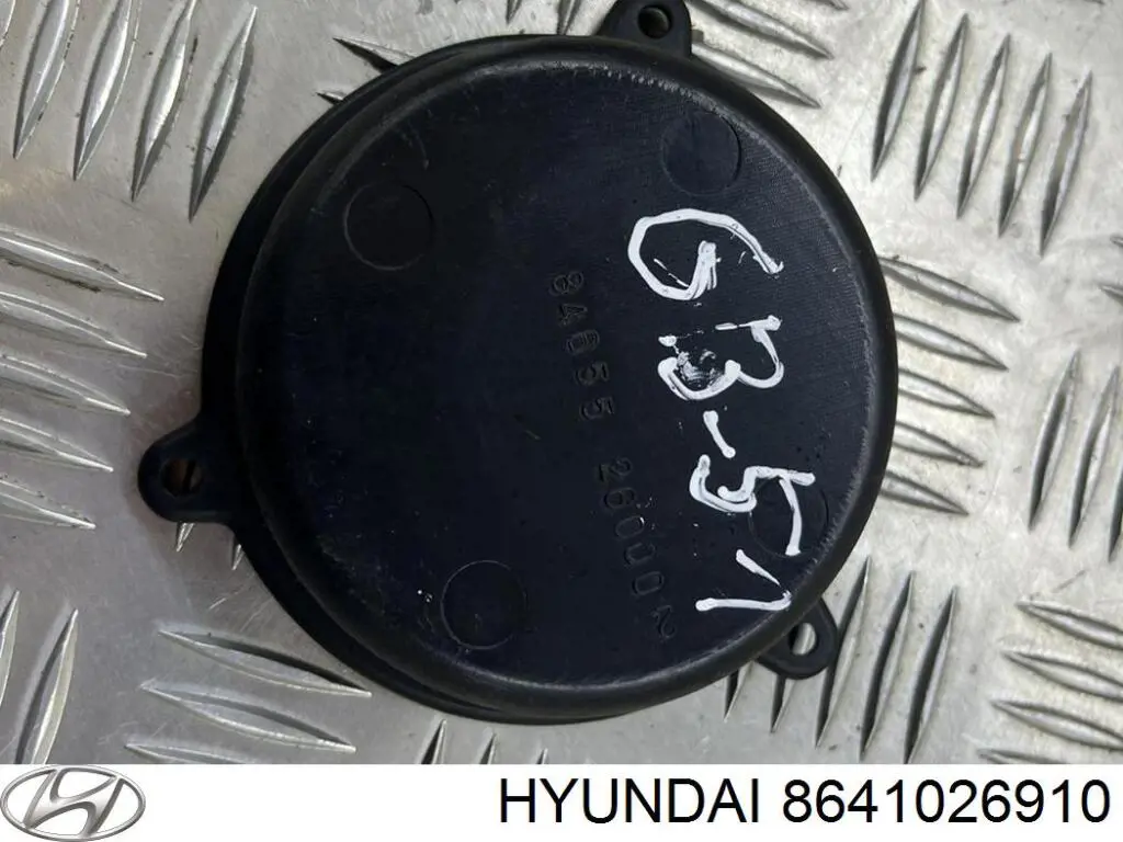 8641026910 Hyundai/Kia 