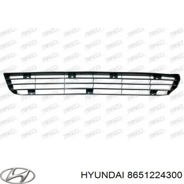 Решітка переднього бампера Hyundai Pony (X) (Хендай Поні)