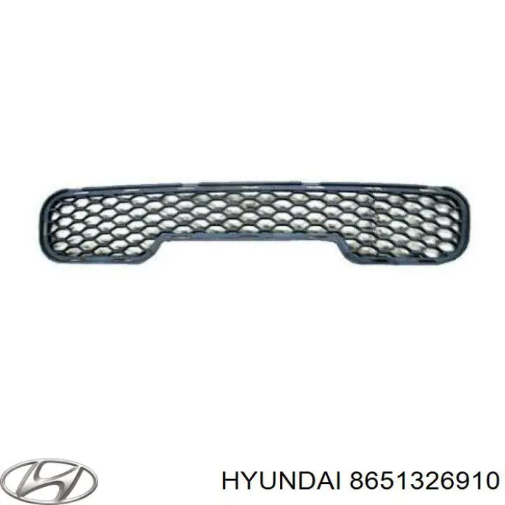 Решітка переднього бампера, центральна Hyundai Santa Fe 1 (SM) (Хендай Санта фе)