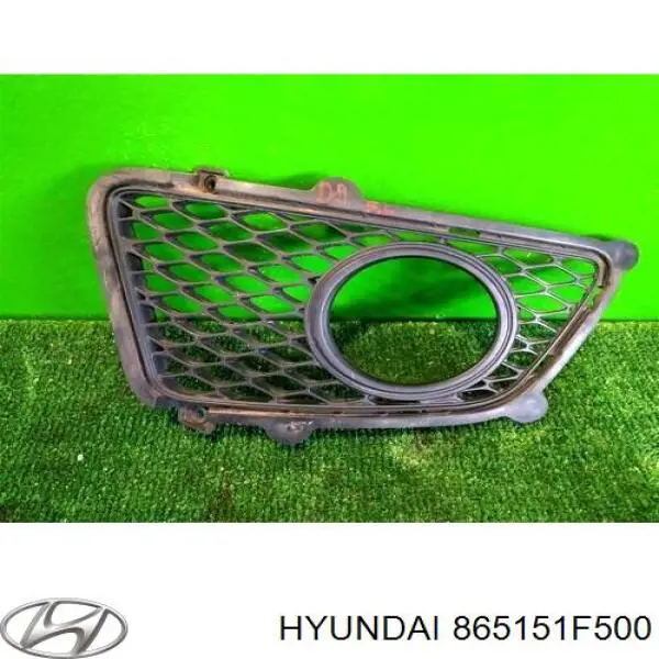 Купити 865151F500 Hyundai/Kia Решітка переднього бампера, ліва