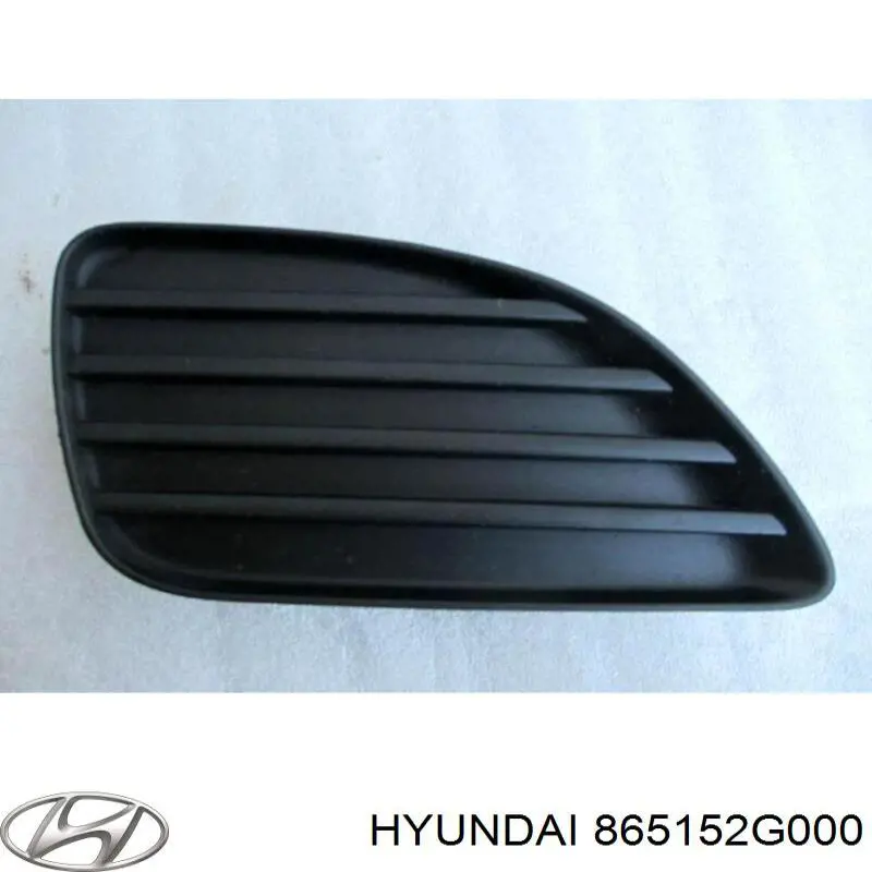 Купити 865152G000 Hyundai/Kia Заглушки буксирувального гака