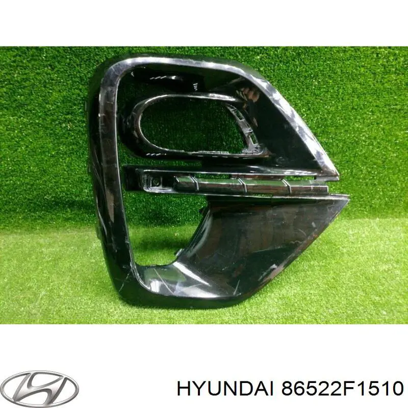 Заглушка протитуманки передньої правої Hyundai/Kia 86522F1510 ціна, від 44.33 USD