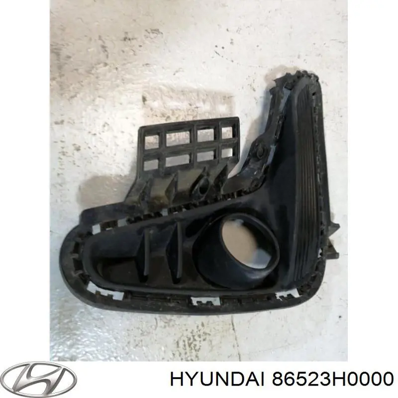 Заглушка під протитуманні фари, ліва Hyundai/Kia 86523H0000 ціна, від 26.24 USD
