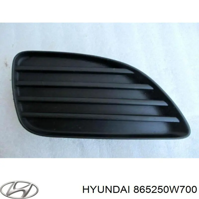 865250W700 Hyundai/Kia 