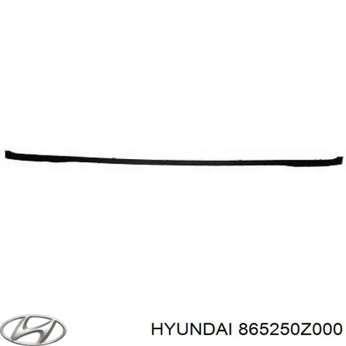 Нижня накладка на передній бампер Hyundai/Kia 865250Z000 ціна, від 43.50 USD