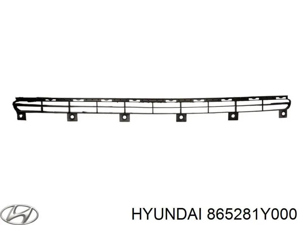 Оправа протитуманной фари Hyundai/Kia 865281Y000 ціна, від 26.47 USD