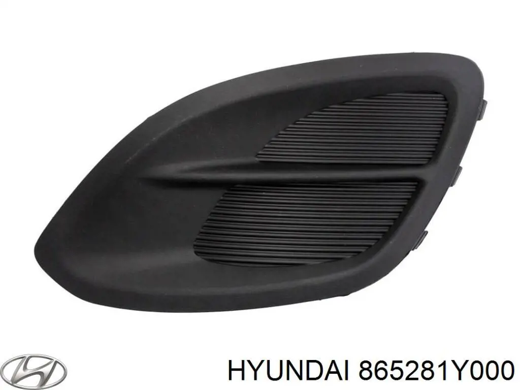 865281Y000 Hyundai/Kia Оправа протитуманки