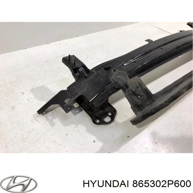 Шина бампера переднього Hyundai/Kia 865302P600 ціна, від 123.99 USD