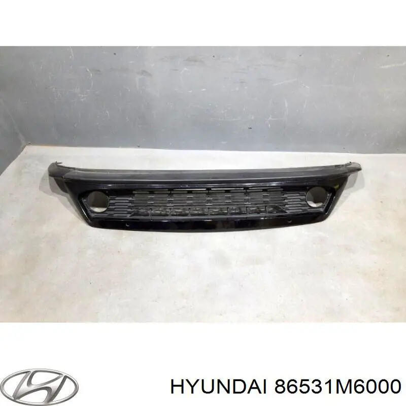 Решітка переднього бампера, центральна Hyundai/Kia 86531M6000 ціна, від 30.41 USD