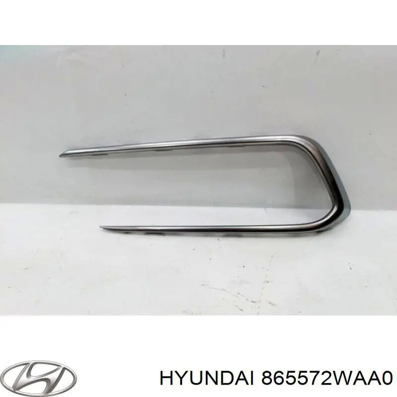 Ободок/окантовка фари протитуманної, лівий Hyundai/Kia 865572WAA0 ціна, від 35.93 USD