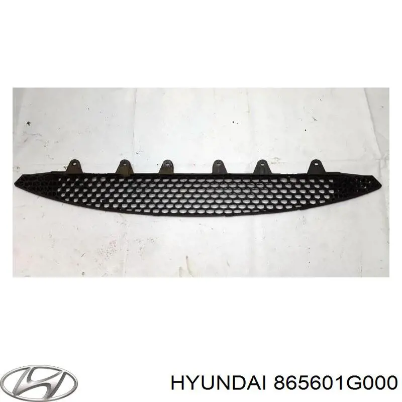 Шина бампера переднього Hyundai/Kia 865601G000 ціна, від 31.49 USD