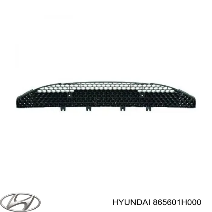 Кенгурятник Hyundai/Kia 865601H000 ціна, від 41.67 USD