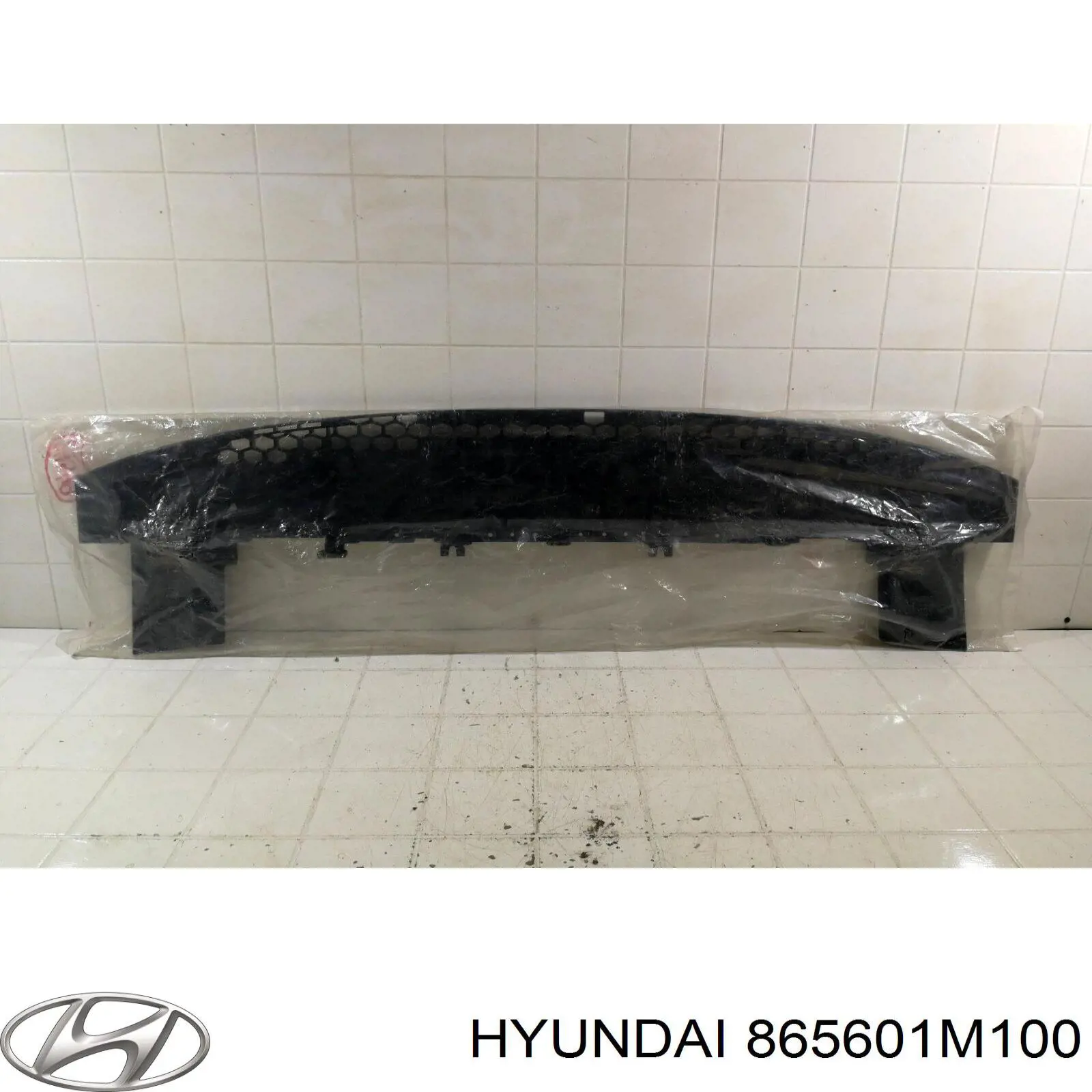 Кенгурятник Hyundai/Kia 865601M100 ціна, від 42.88 USD