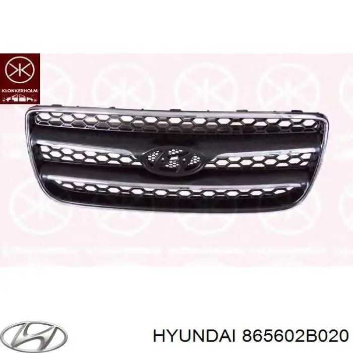 Купити 865612B020 Hyundai/Kia Захисна решітка радіатора