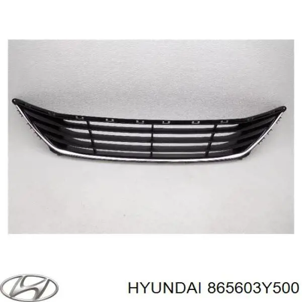 Решітка переднього бампера, центральна Hyundai/Kia 865603Y500 ціна, від 57.51 USD