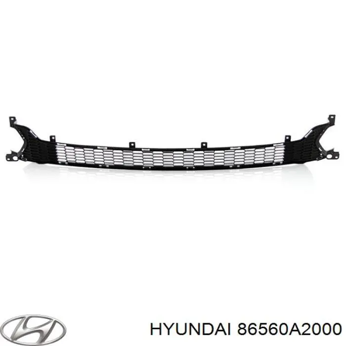 Решітка переднього бампера, центральна Hyundai/Kia 86560A2000 ціна, від 96.19 USD