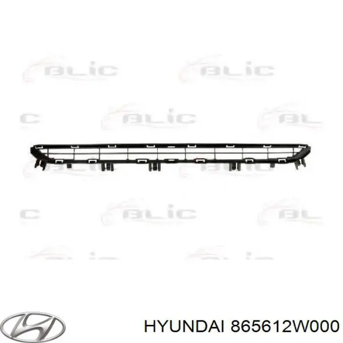 Решітка переднього бампера на Hyundai Santa Fe (DM)
