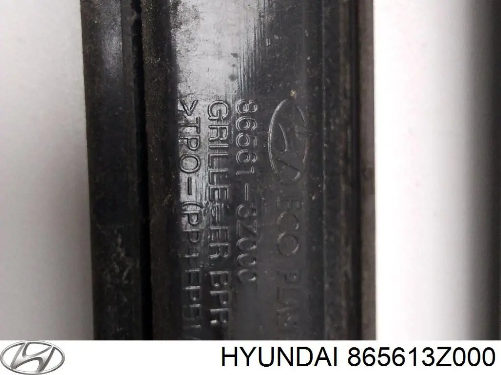865613Z000 Hyundai/Kia 