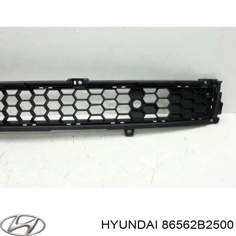 Решітка переднього бампера, нижня Hyundai/Kia 86562B2500 ціна, від 21.91 USD
