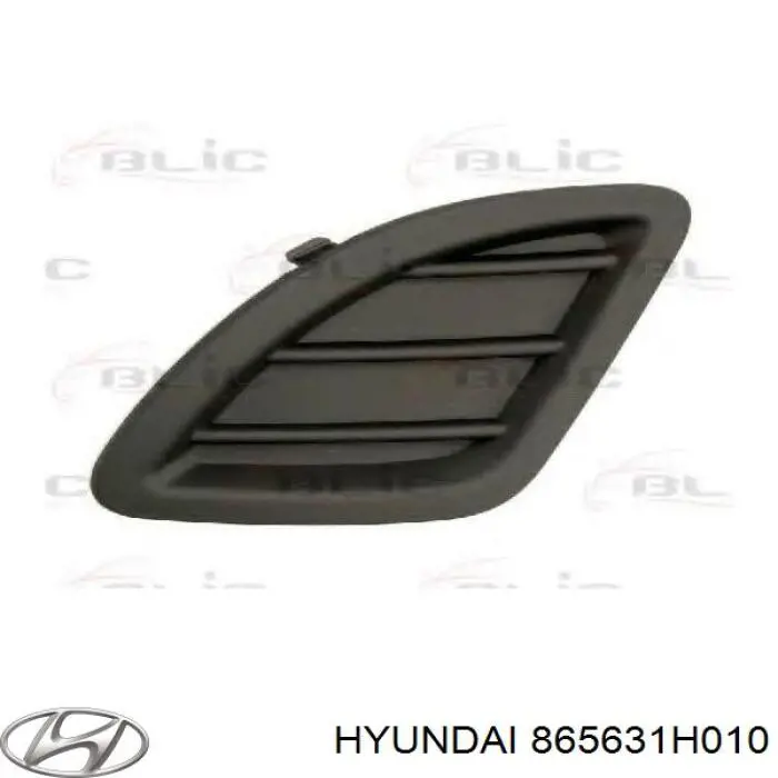 Заглушка під протитуманні фари, ліва Hyundai/Kia 865631H010 ціна, від 9.34 USD