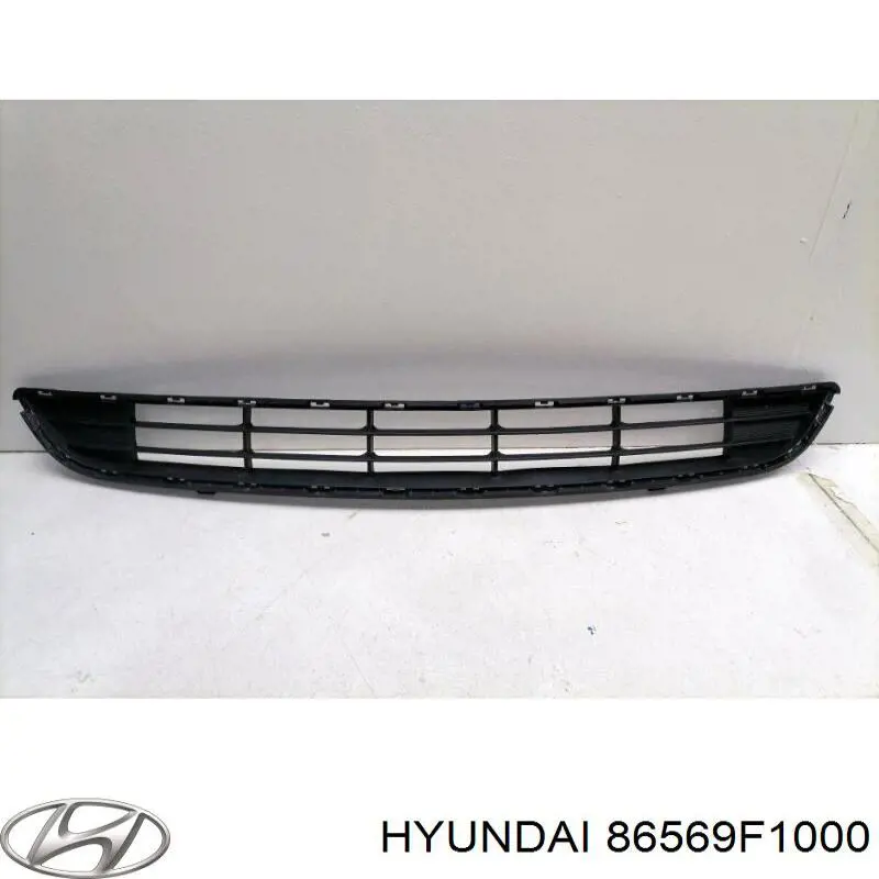 Решітка переднього бампера, нижня Hyundai/Kia 86569F1000 ціна, від 31.00 USD