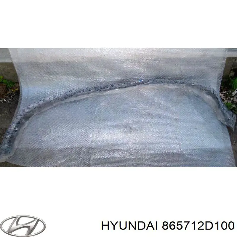 865712D100 Hyundai/Kia 