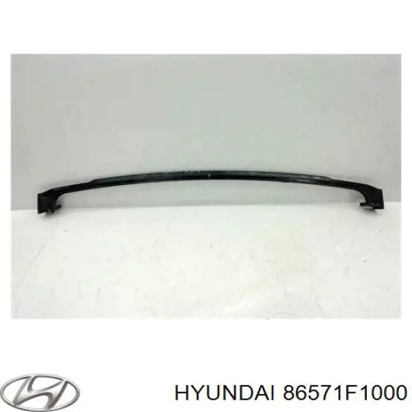 Шина бампера переднього Hyundai/Kia 86571F1000 ціна, від 151.09 USD