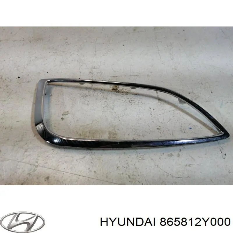  Обід (окантовка) фари протитуманної, лівої Hyundai Tucson 2
