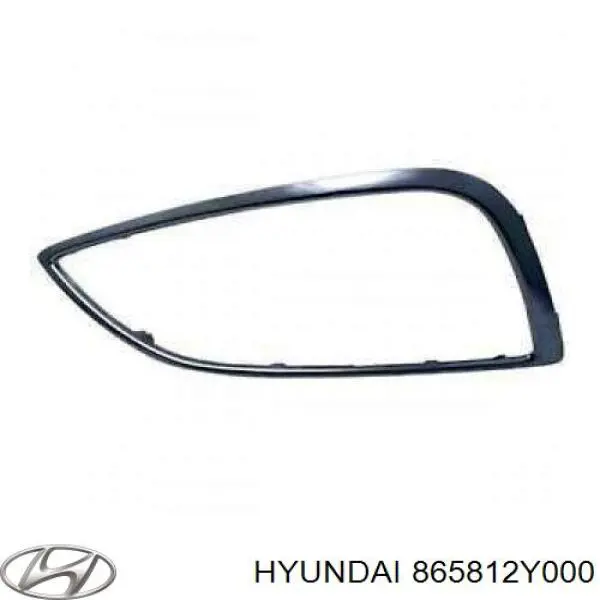 Ободок/окантовка фари протитуманної, лівий Hyundai/Kia 865812Y000 ціна, від 26.05 USD