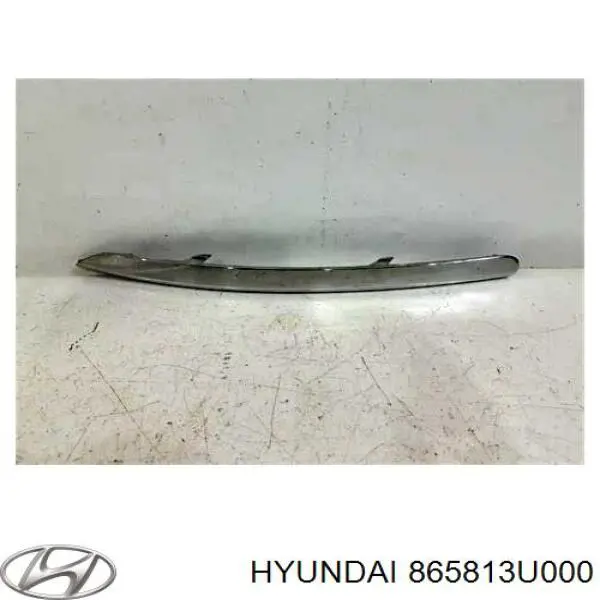 Молдинг переднього бампера, лівий Hyundai/Kia 865813U000 ціна, від 70.54 USD