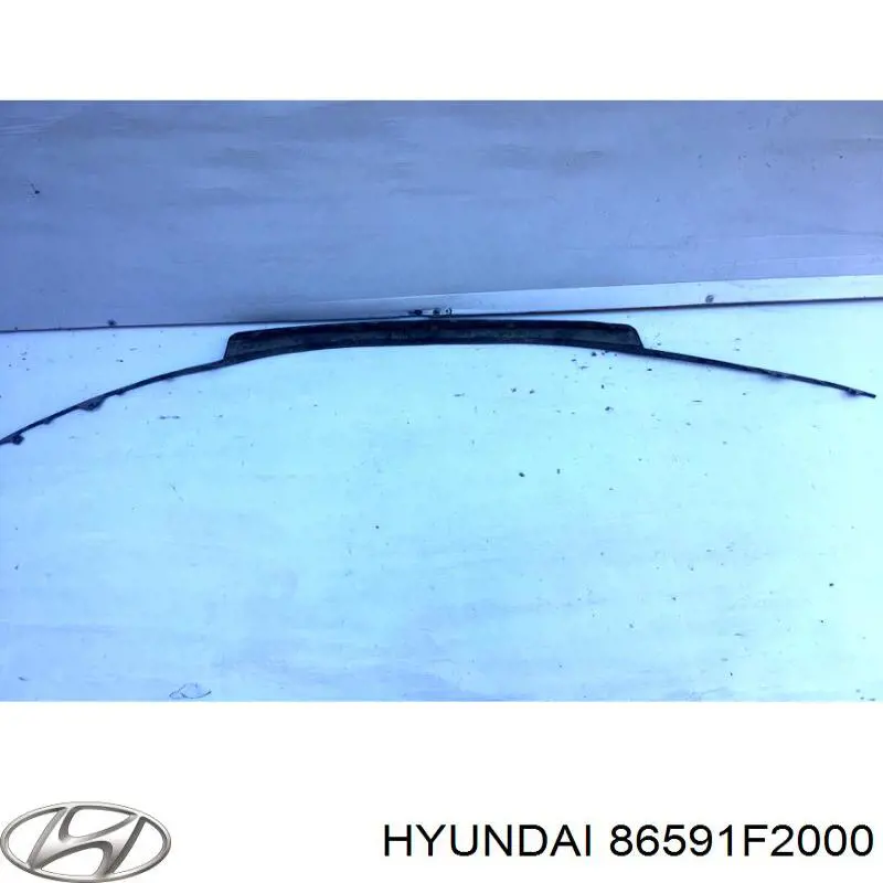 Спойлер переднього бампера 86591F2000 Hyundai/Kia