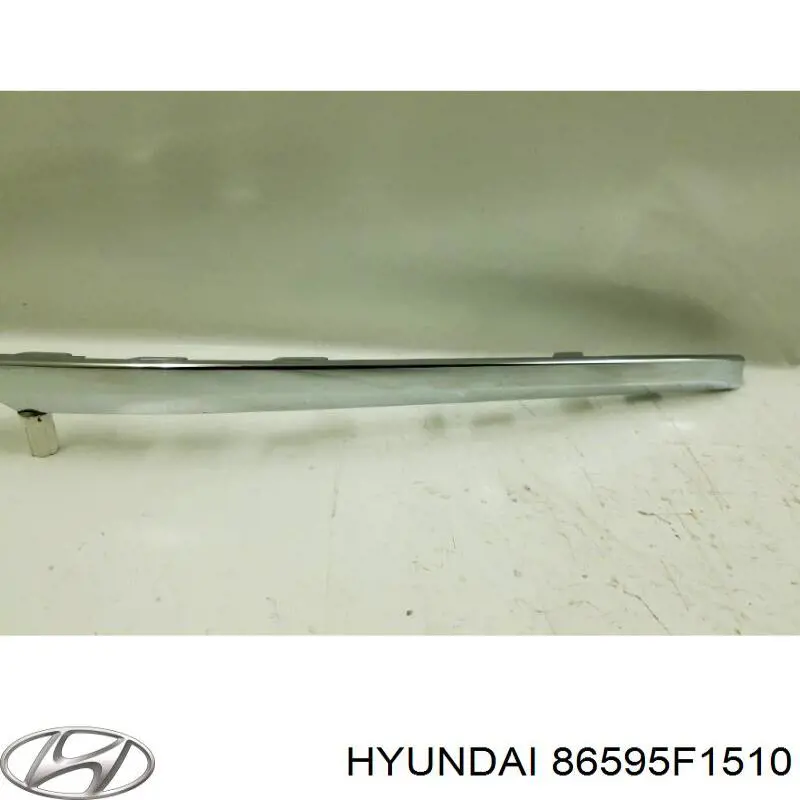 Молдинг переднього бампера, лівий Hyundai/Kia 86595F1510 ціна, від 134.48 USD