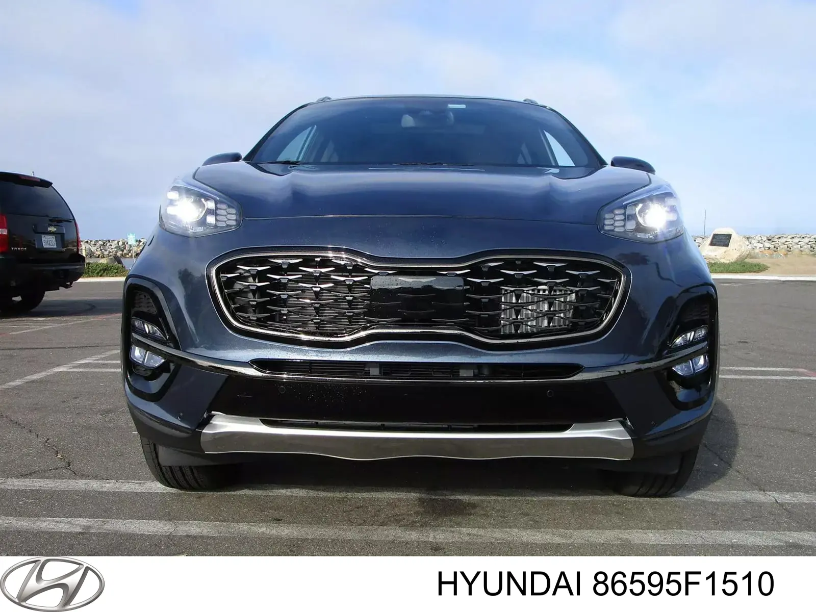 Молдинг переднього бампера, лівий Hyundai/Kia 86595F1510 ціна, від 69.44 USD