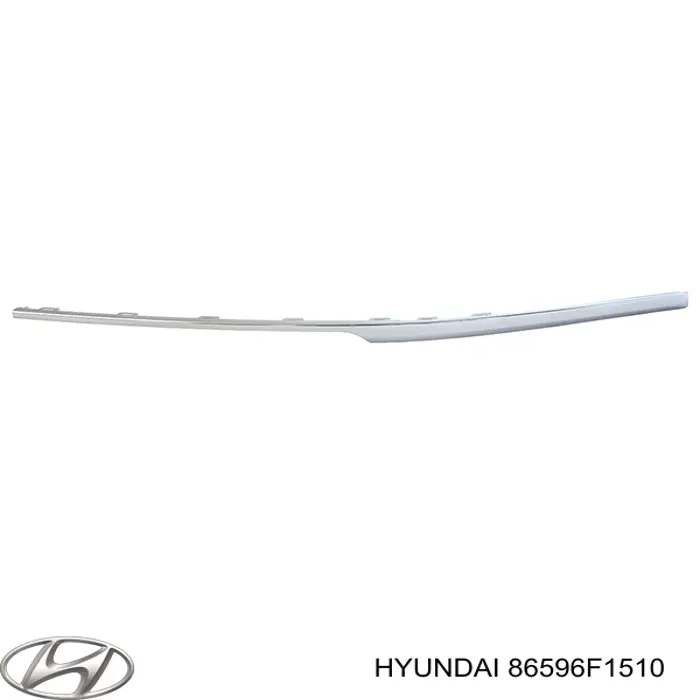 Молдинг переднього бампера, правий Hyundai/Kia 86596F1510 ціна, від 41.39 USD
