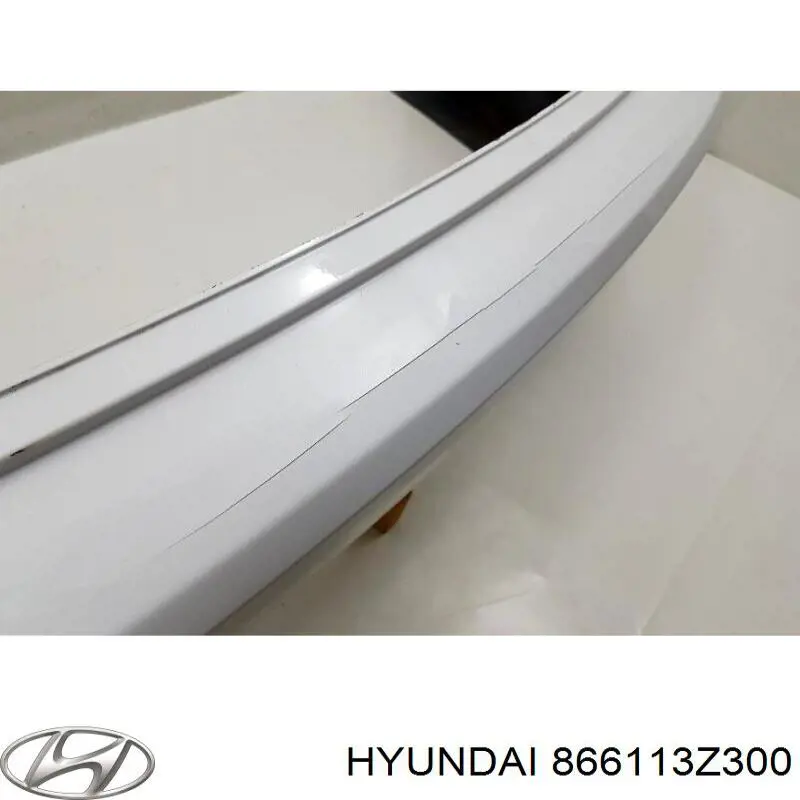 Кожух бампера заднього Hyundai/Kia 866113Z300 ціна, від 184.38 USD