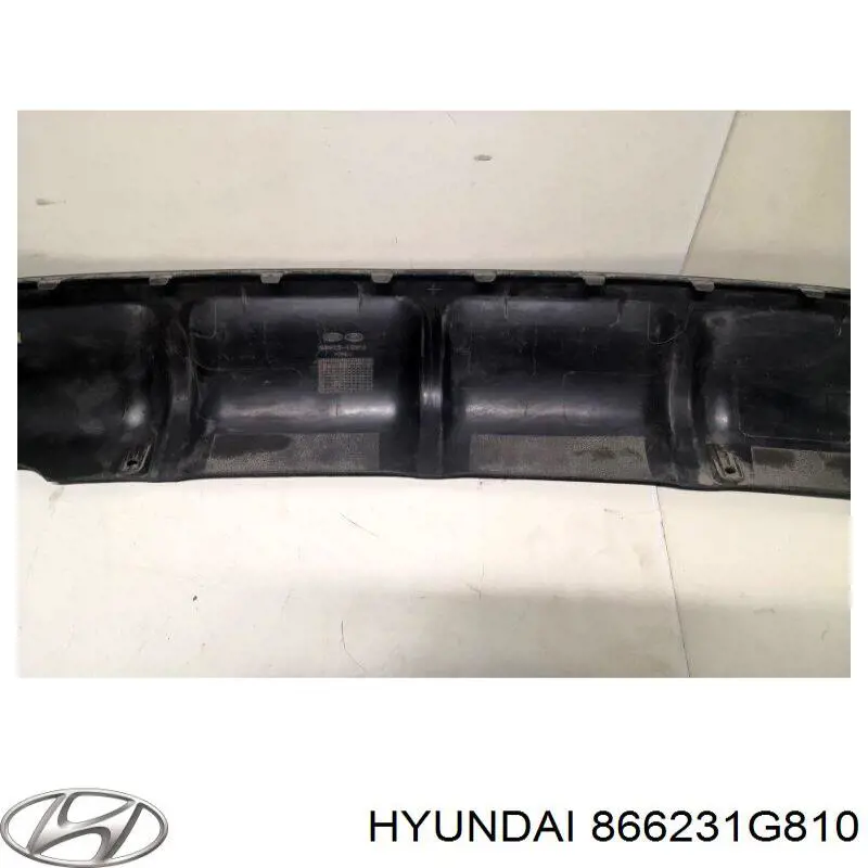  Hyundai/Kia 866231G810 ціна, від 45.36 USD