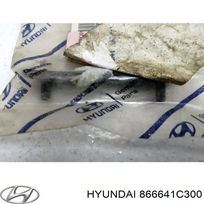  866641C300 Hyundai/Kia