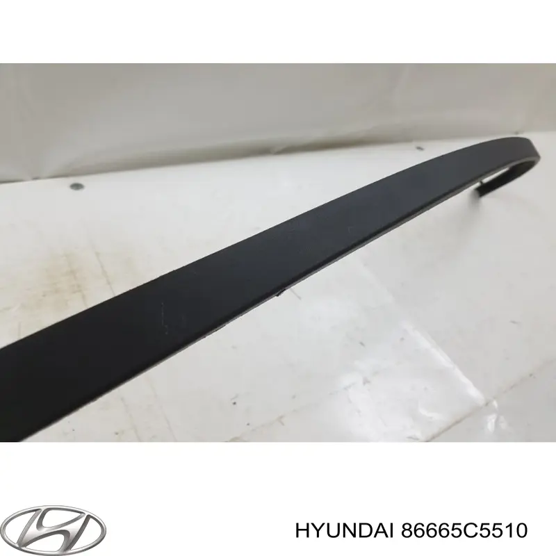 Бампер задній, нижня частина Hyundai/Kia 86665C5510 ціна, від 34.04 USD